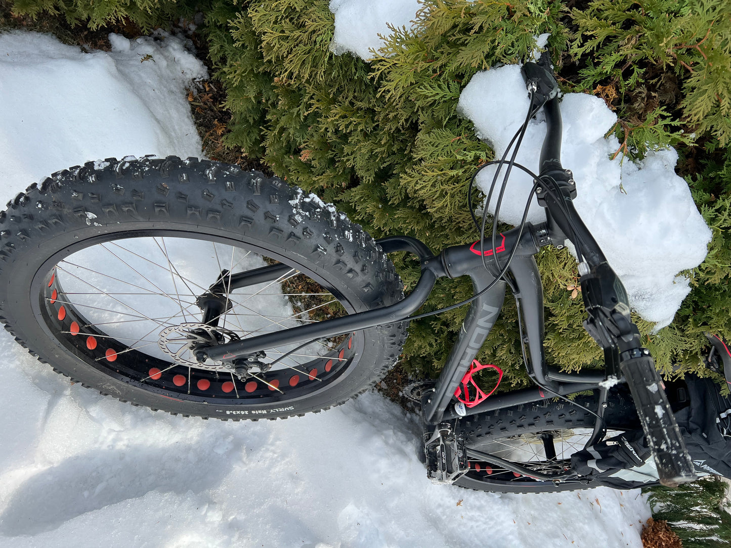 Norco Bigfoot - 2014 - Large