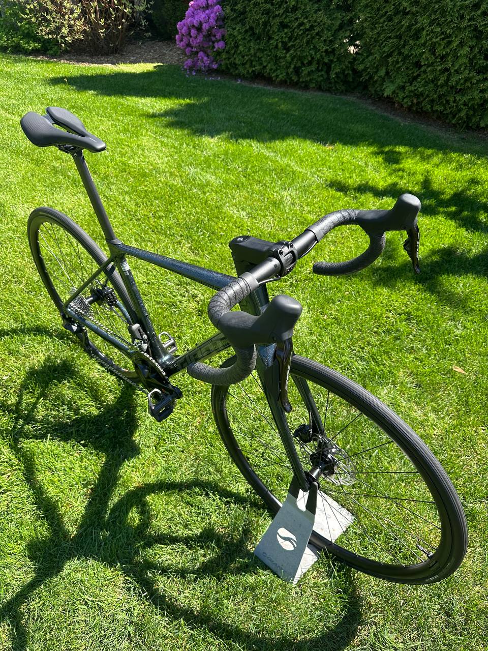 Giant TCR Advanced 1 - 2025 - Small - NEW