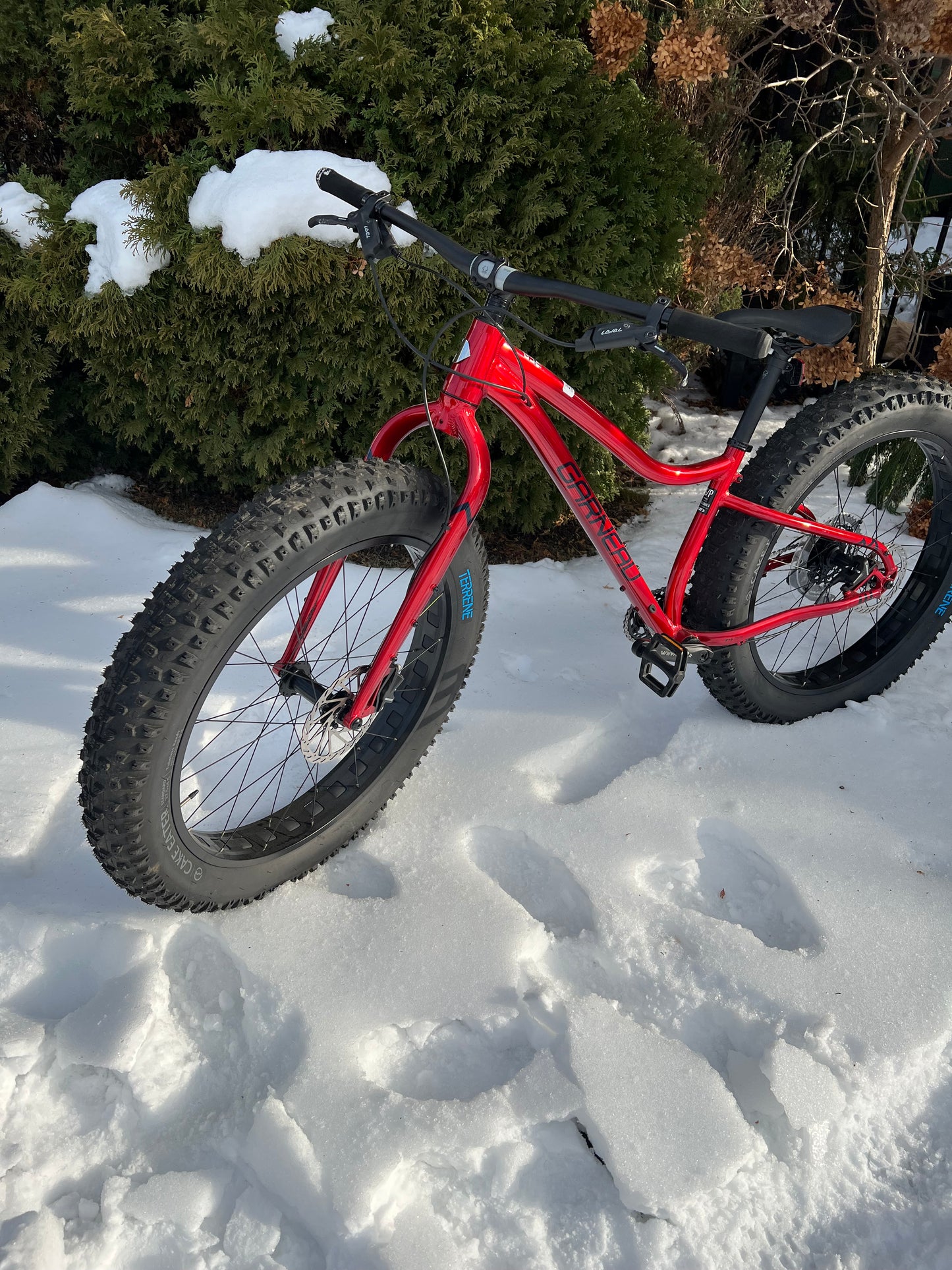 Louis Garneau Gros Louis 3 Fat Bike - 2023 - Small - Stud ready fat tires