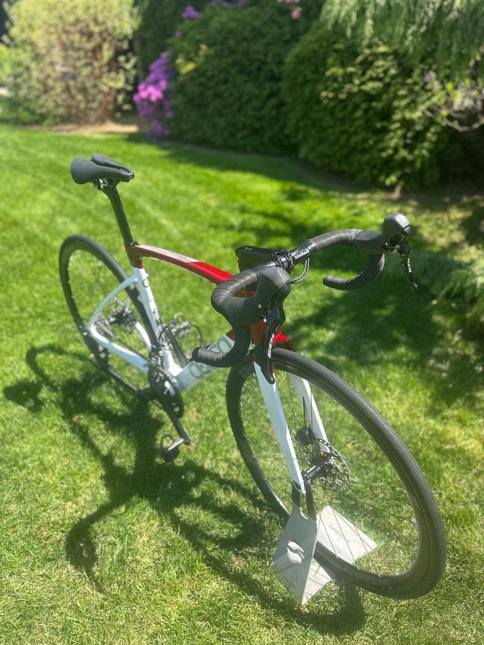Ceepo - Mamba R -  Medium - Showroom condition - 2025